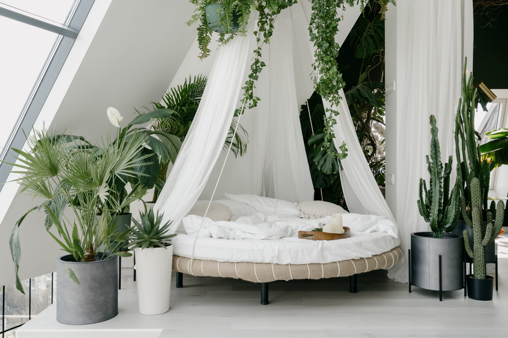 Diese Zimmerpflanzen sind fürs Schlafzimmer perfekt! Produktblog von