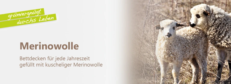 natürliche Bettdecken mit biologischer Merinowolle