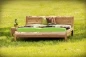Preview: Formacello metallfrei Bett Preview: Formacello metallfrei Bett