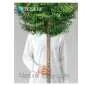 Preview: SALE 4-Jahreszeiten Bettdecke Tencel / Lyocell (Kombi-Bettdecke) Gr. 240 x 220 cm
