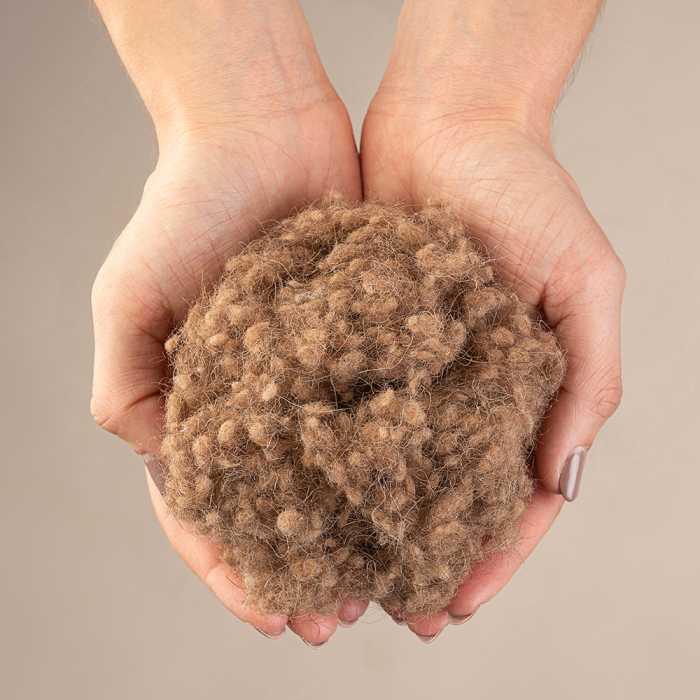 Kamelhaar Kopfkissen mit Kamelhaarkügelchen Bio Baumwollbezug unversteppt
