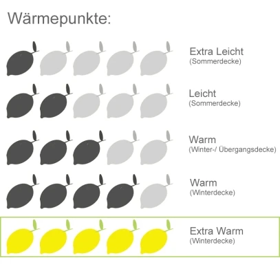 Alpaka 4-Jahreszeiten Bettdecke - basic natur - Alpasoft