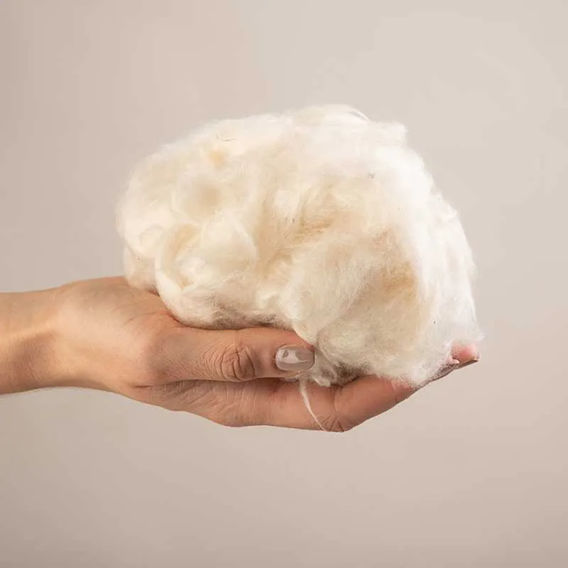 Kapok für Bettdecken