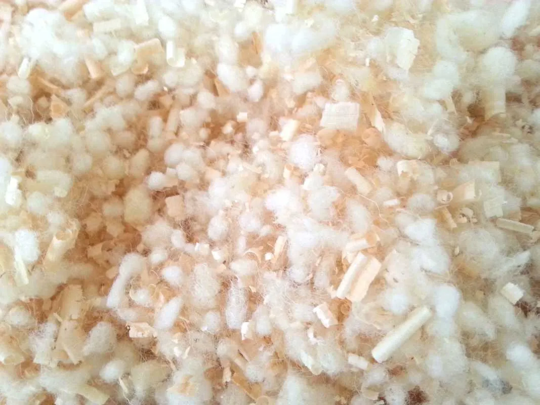 Schurwoll Kugeln mit Zirbenspänen