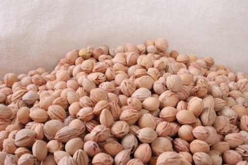 Schulterkissen mit Dinkel kbA - oder Kirschkernfüllung